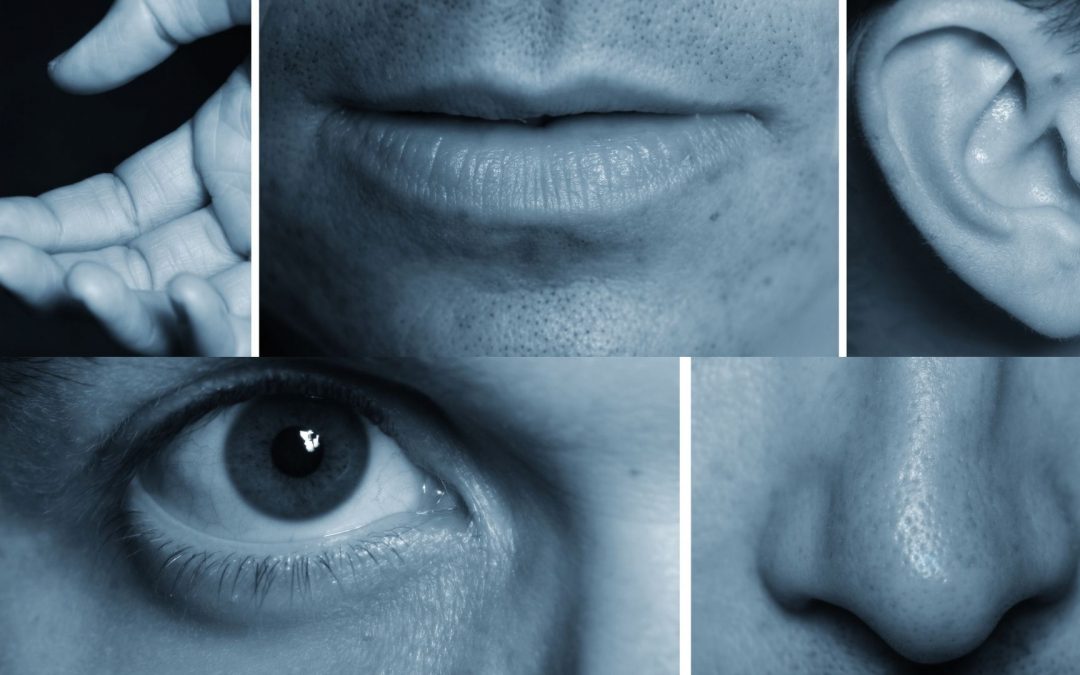 Use all five senses on Zoom.